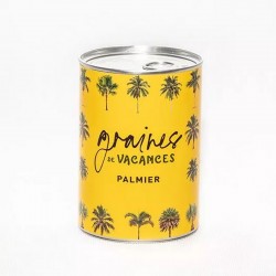 GRAINES DE VACANCES