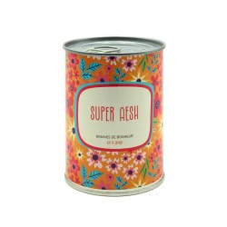SUPER AESH